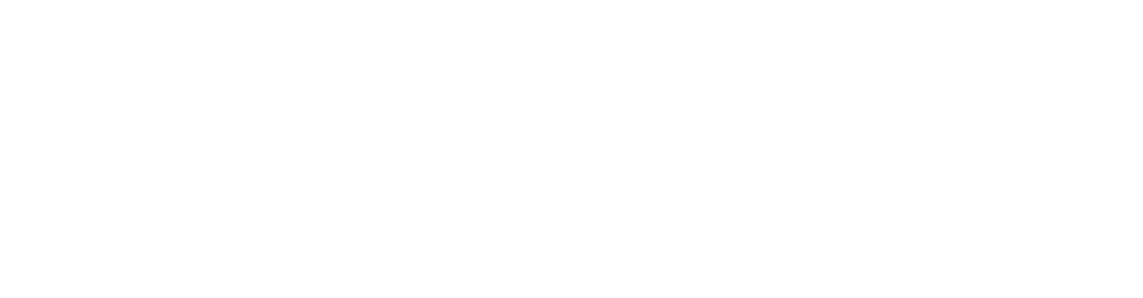 FIREROSE INS AIRSLIM Vape