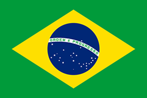 World Cup Team