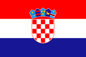 World Cup Team