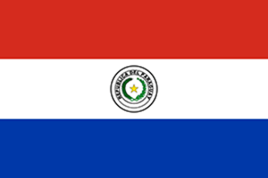 World Cup Team