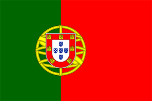 World Cup Team